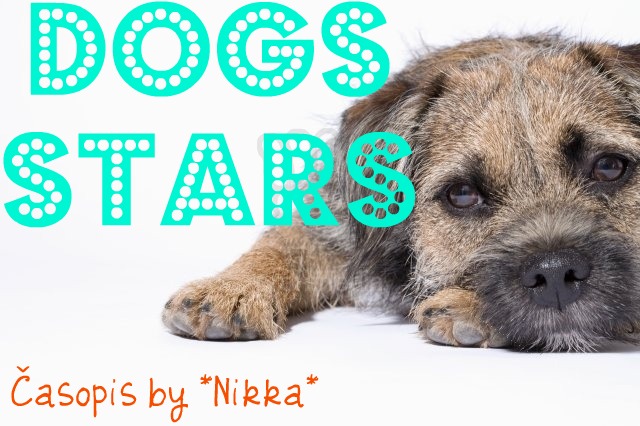 Dogs Stars