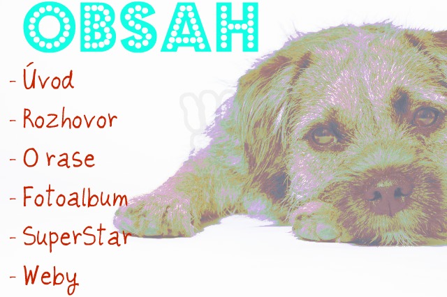 Obsah