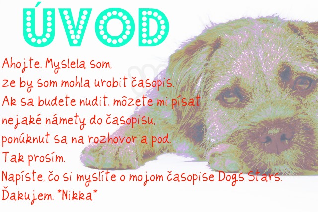 Úvod
