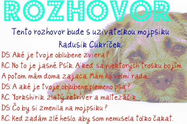 Rozhovor