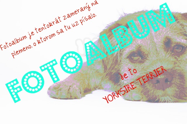 Fotoalbum